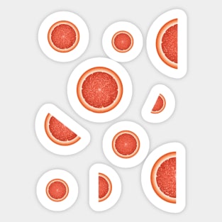 Oranges Sticker